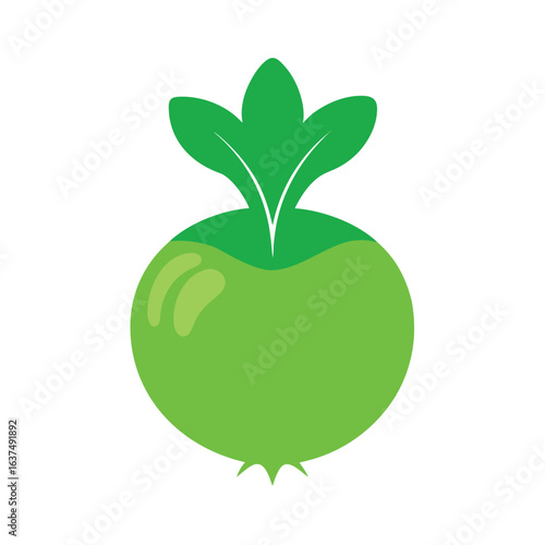 vector illustration of an Kohlrabi