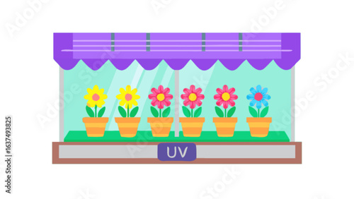 Colorful flower pots on window sill vector illustration for home decor and spring season design projects