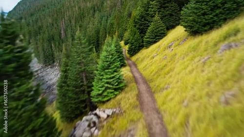 Rugged Mountain Landscape with Dense Evergreen Forest and Winding Hiking Trail — 4K HD Video Footage Download, Cinematic Vibrant Natural Scenic Composition

