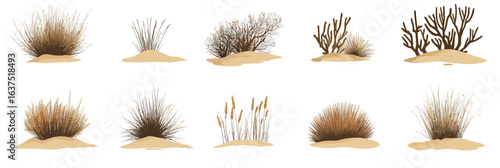 Set of flat minimalist vector illustrations of various western desert dead plants and dry bushes isolated on sand patches with muted natural colors and realistic style