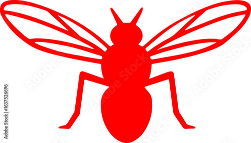 wasp icon 