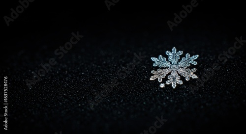 Intricate Ice Crystal Snowflake Macro Photography on Black Background