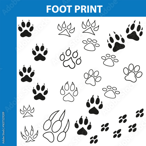 detailed professional high quality Footprint Patterns and Shapes