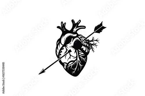 crisp clean stylish elegant modern detailed professional high quality Silhouette of a Human Heart with an Arrow Piercing Through It A Symbol of Love and Sacrifice
