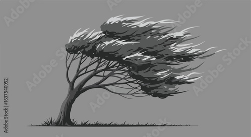 Windy Tree A tree bending against a grey background with blowing leaves and grass