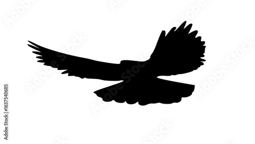 A powerful, swift descent