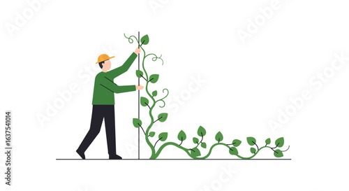 Flat illustration of a man tending to a climbing plant on white background
