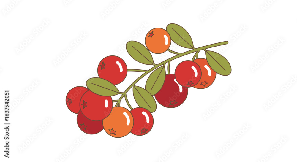 Obraz premium Detailed illustration of cranberries on a branch isolated over white