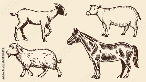 Farm Animals Goat Cow and Horse Vector Illustration.