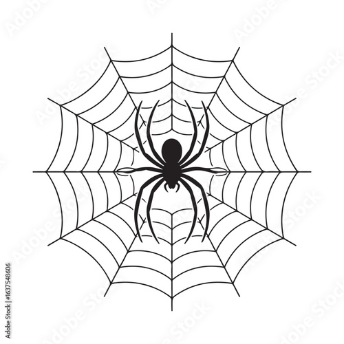 A spider in the center of a spiderweb