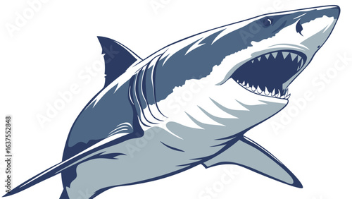Powerful Great White Shark Illustration.