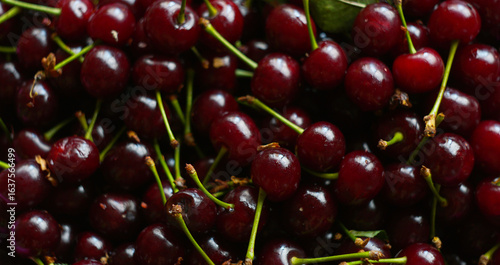 So many red cherries shine brightly