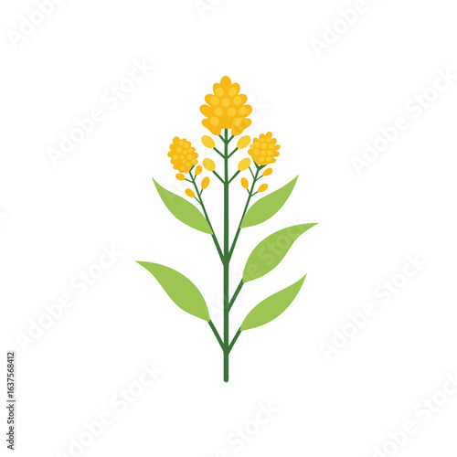 Goldenrod flower vector icon on white background