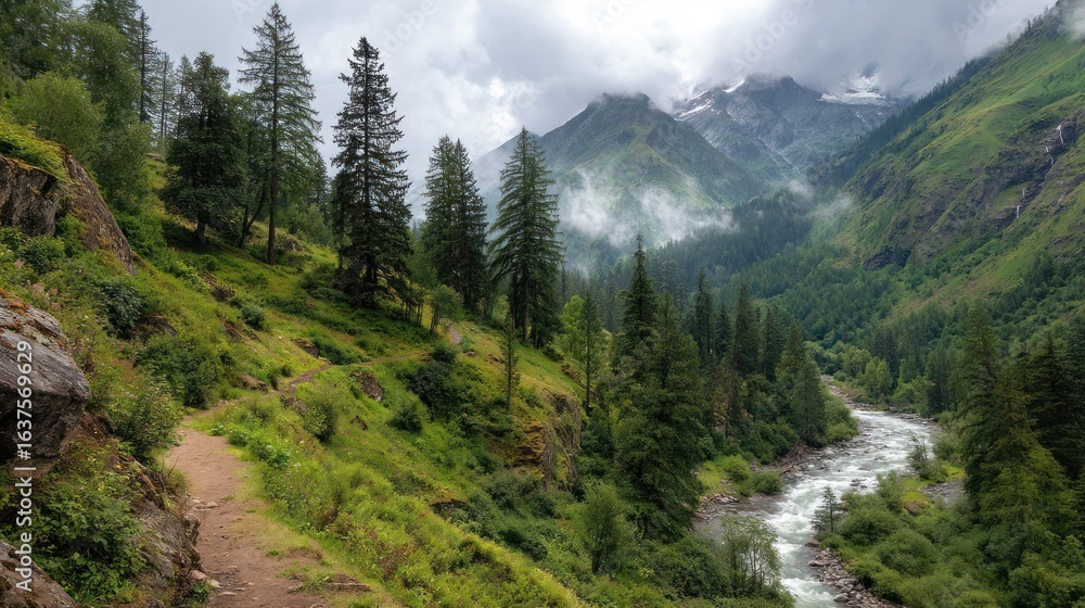 Obraz premium Mountain valley with river and hiking path