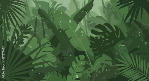 Dense, verdant rainforest foliage, with varying shades of deep greens create depth