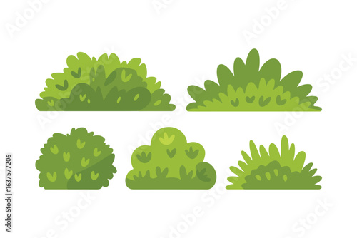 Various tree vectors. Forest and nature concept. Collection of different tree symbols. Education and training poster design. Vector drawn for plant and tree presentation.