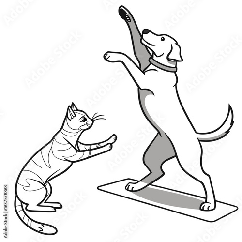A playful cat watches a dog perform a yoga pose on a mat demonstrating animal fitness and healthy living
