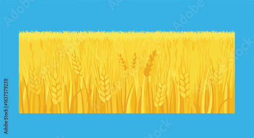 Golden wheat grain field on a blue backdrop with grassy stalks at the top