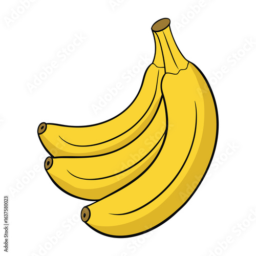 Plantains are starchy, banana-like fruits often cooked before eating. Popular in tropical cuisines, they’re great fried, boiled, or baked for savory or sweet dishes.
