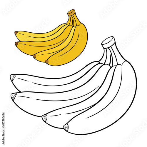 Plantains are starchy, banana-like fruits often cooked before eating. Popular in tropical cuisines, they’re great fried, boiled, or baked for savory or sweet dishes.
