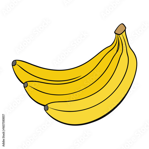 Plantains are starchy, banana-like fruits often cooked before eating. Popular in tropical cuisines, they’re great fried, boiled, or baked for savory or sweet dishes.
