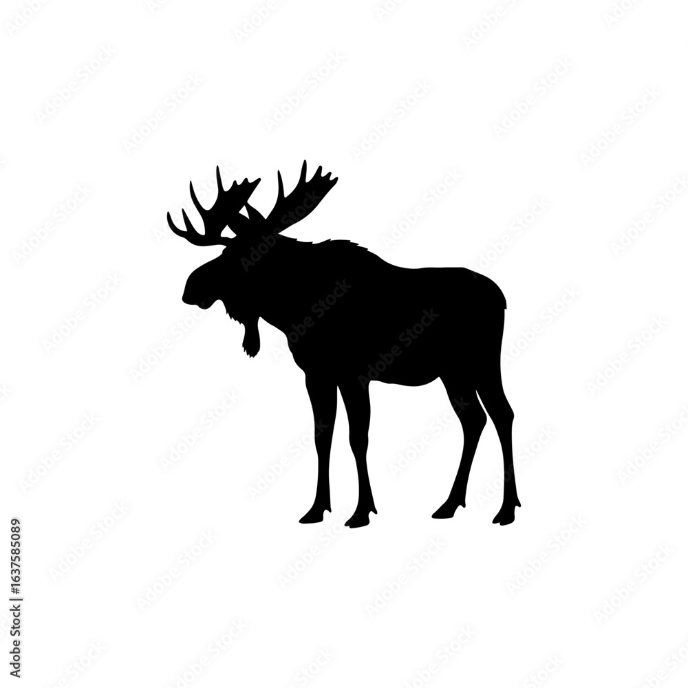 Moose, vector illustration, black silhouette profile Moose, vector illustration, black silhouette profile
