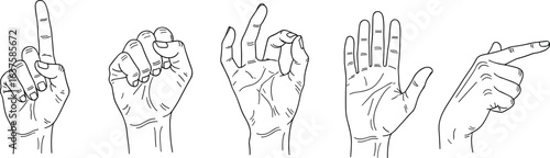 Hand gesture illustration set, outline hands showing signs, finger pointing, OK symbol, fist, open palm, vector line drawing for communication concepts