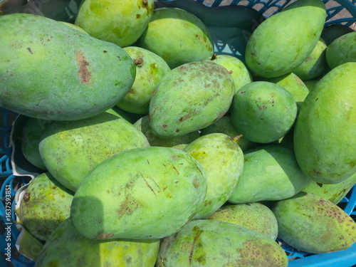 pile of fresh green mangoes that have just been harvested