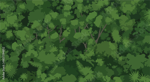 Dense foliage canopy trees, palms, ferns, dark and light greens creating abstract design