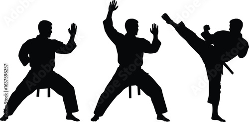 Silhouette of martial arts practitioner performing kata stances, karate moves, and high kick, isolated on white background, self defense training, fitness