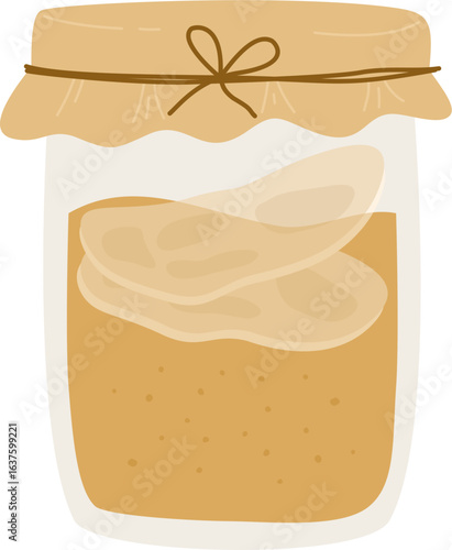 Kombucha fermented tea. Probiotic drink