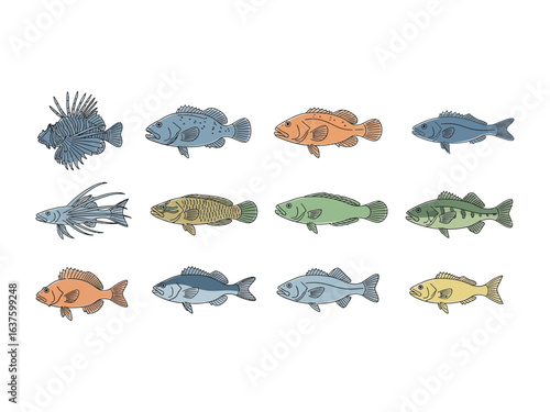 Marine Biodiversity: A collection of vividly illustrated fish, each representing a different species, swimming in unison, showcasing the fascinating underwater world.