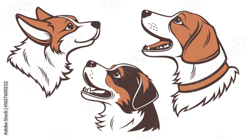 Three Cartoon Dog Heads Looking Up Corgi Beagle and Hound.