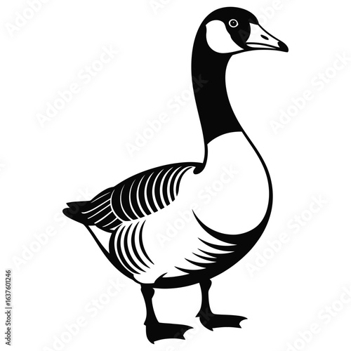 goose isolated on white background