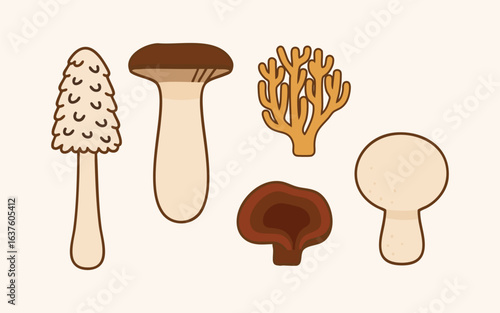 Woodland Mushrooms, Morel, Porcini, Chanterelle, Puffball