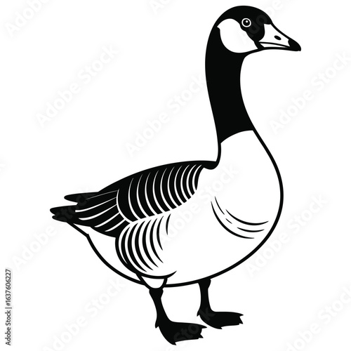 goose isolated on white background