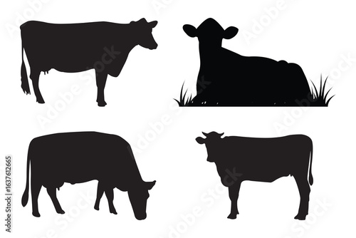 Set of cow silhouettes farm animal