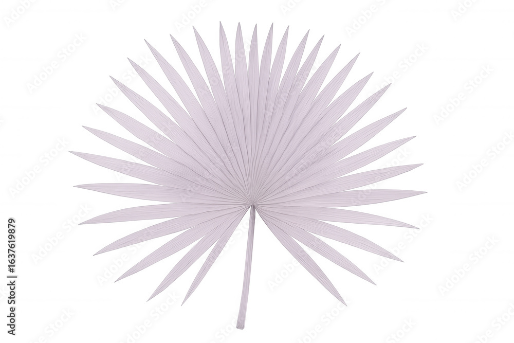 Obraz premium Light purple palm leaf isolated on transparent background, evoking tropical vibes and adding a touch of exoticism