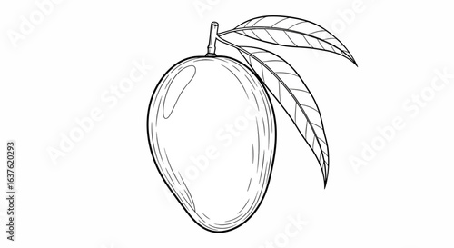 Detailed black and white mango illustration with leaves, perfect for food packaging, recipe books, or health and wellness branding projects