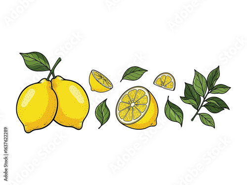 Zesty Lemon Arrangement: A vibrant illustration showcases a collection of ripe lemons, cut sections, and verdant leaves, evoking freshness and a taste of the tropics.