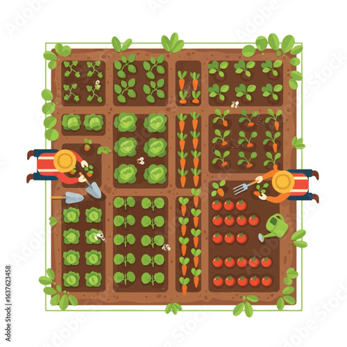 Overhead view of a garden plot with two people tending to various vegetables.