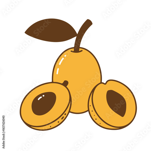 Sweet loquat fruits, whole and sliced, ready to be enjoyed, beautifully illustrated.