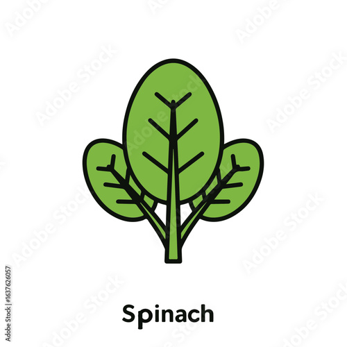 Fresh green spinach leaves isolated on a light background, perfect for healthy eating concepts.