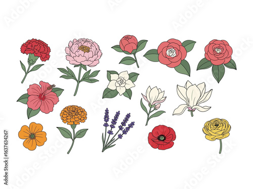 Floral Collection: A curated collection of exquisite, hand-drawn flowers, capturing a celebration of vibrant colors and botanical beauty, perfect for design.