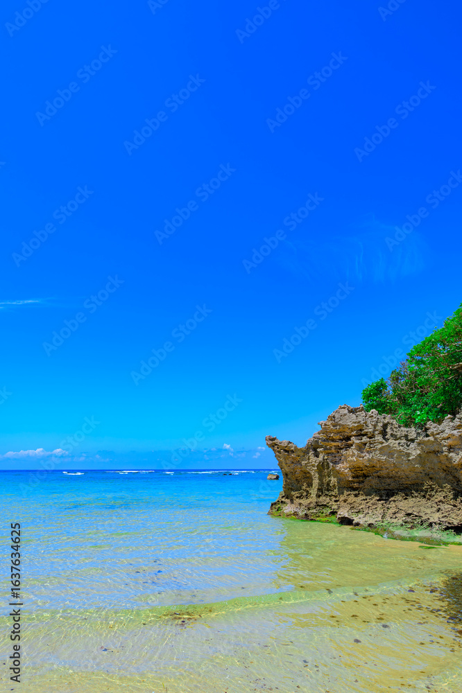 Fototapeta premium 透明な海と緑豊かな自然が美しい石垣島クリスタルビーチ