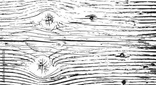 Detailed black and white wood grain texture for design background