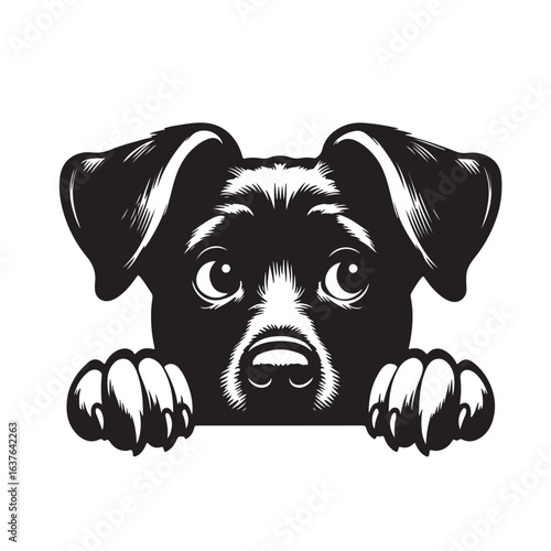 Vector silhouette of  dog on white backgroud.
