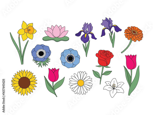 A Bouquet of Blossoms: A vibrant collection of meticulously illustrated flowers, each a testament to the beauty and diversity of the natural world, presented in a stunning botanical array.