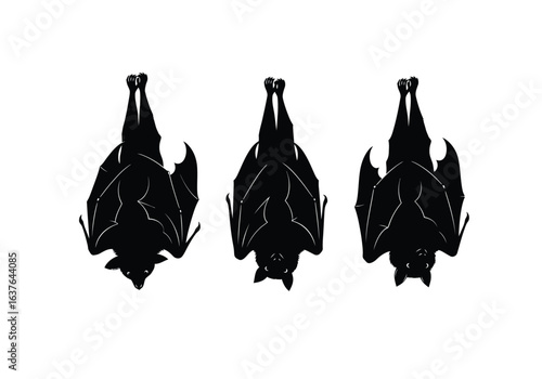 Illustration of three identical black bat silhouettes hanging upside down against a clean white background.