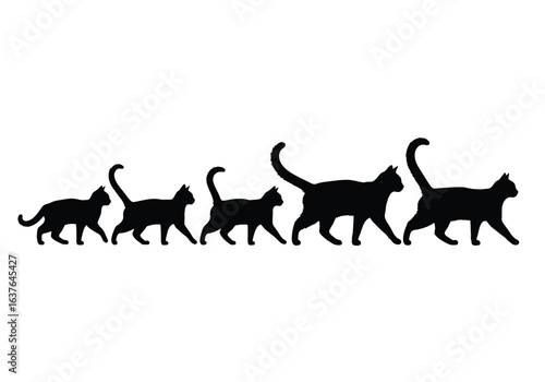 Five black cat silhouettes walking in a single file line, arranged in order of increasing size.